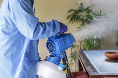 Pest Fumigation Service in Katy, TX