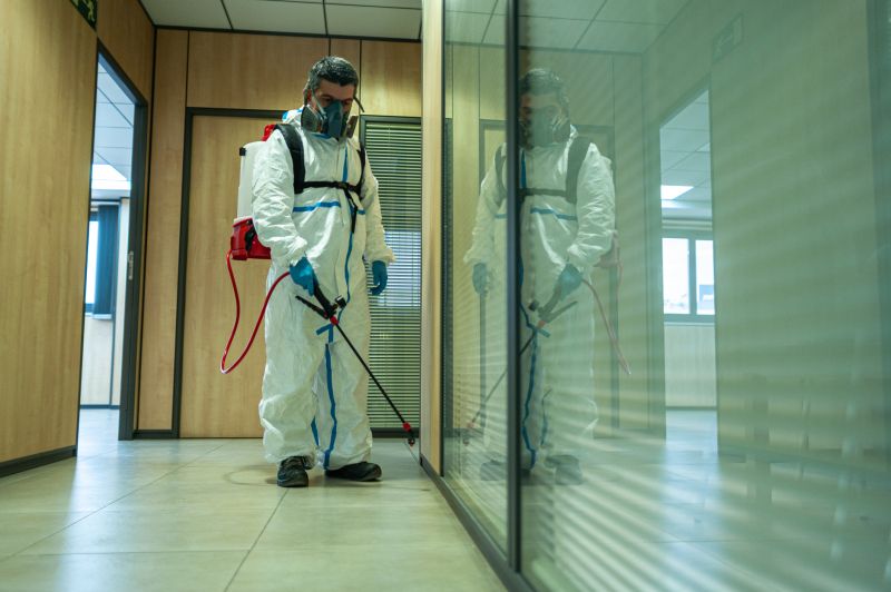 Spider Fumigation Service in Madison, WI